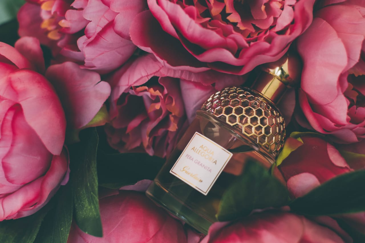 6 Best Smelling Fragrances For Women Under Rs1000 Dreamtrix Beauty 